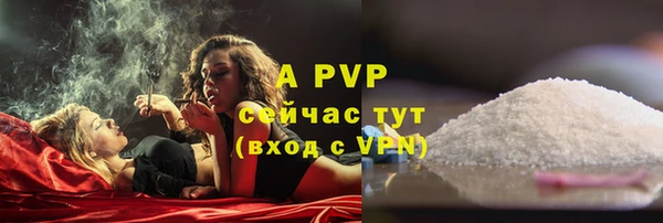 стафф Аркадак