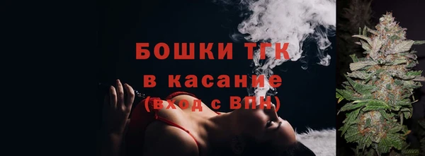 стафф Аркадак
